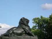 24th Jun 2013 - The lion statue