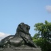 The lion statue by parisouailleurs
