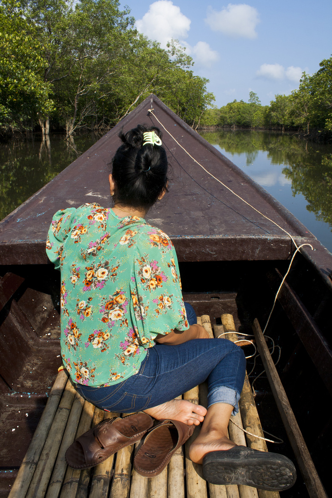Mangrove boating by lily