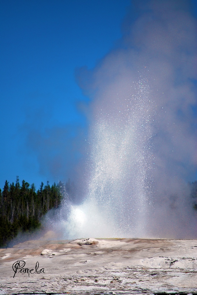 old faithful...yellowstone national park. by earthbeone
