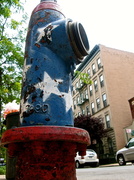 25th Jun 2013 - Fire Hydrant - Harlem, NYC