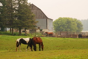 25th Jun 2013 - Pine Ridge Road Barn