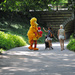 Big Bird Lost in Central Park by alophoto