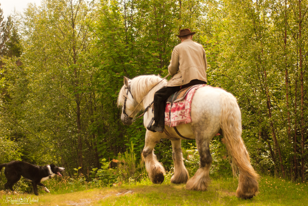 Horseback Riding by ragnhildmorland
