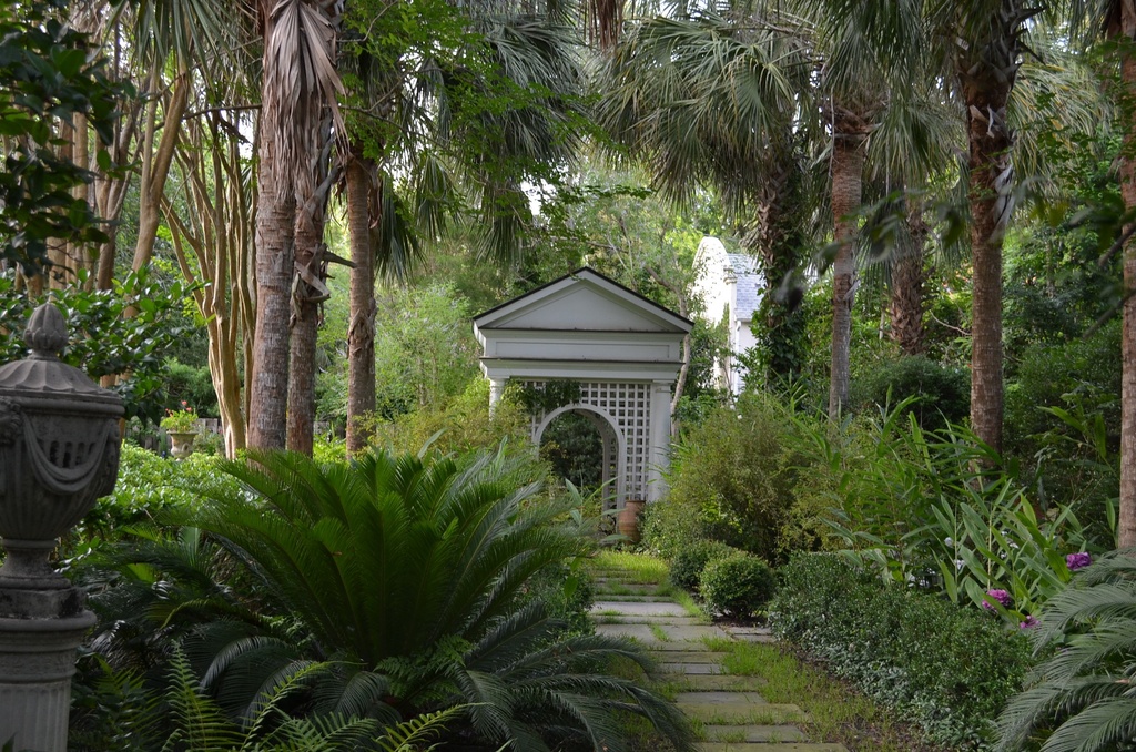 Garden, Charleston, SC by congaree