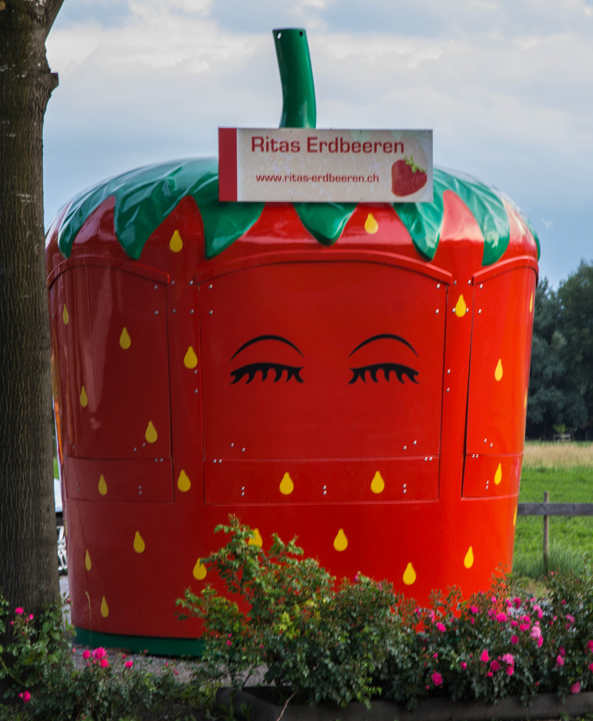 Strawberry stand by rachel70