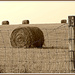 Haybales in the distance  by cindymc