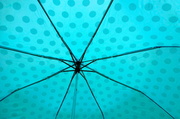 25th Jun 2013 - Umbrella