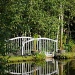 Bridge in the Country by dora