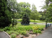 25th Jun 2013 - Nottingham Arboretum