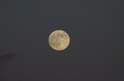 22nd Jun 2013 - Super moon