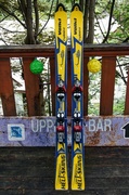 27th Jun 2013 - $5 Skis