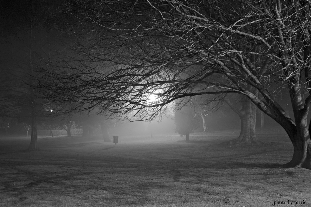 Foggy Park at night by teodw