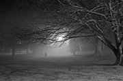 28th Jun 2013 - Foggy Park at night