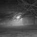 Foggy Park at night by teodw