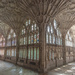 The cloisters in Gloucester cathedral by dulciknit