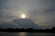 27th Jun 2013 - Colonial Lake, Charleston, SC