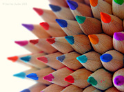 29th Jun 2013 - Pointy Prickly Pencils.