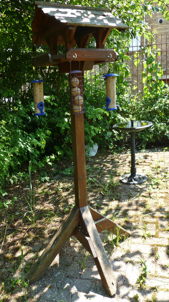 bird feeding station by denidouble