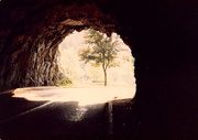 29th Jun 2013 - the tunnel