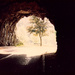 the tunnel by summerfield