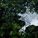 30th June Water explosion - take2 by pamknowler