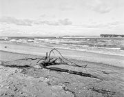 30th Jun 2013 - Washed up