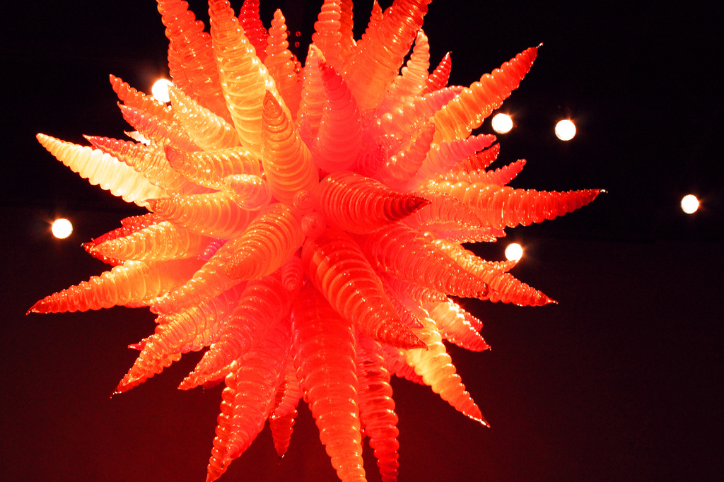 Chihuly Starburst by nanderson