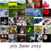 30th June Mozaic for June by pamknowler