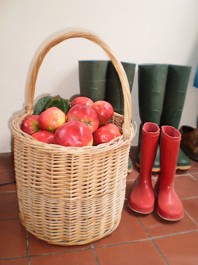    Red apples and little red wellies by snowy