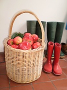 26th Aug 2010 -    Red apples and little red wellies