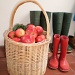    Red apples and little red wellies by snowy