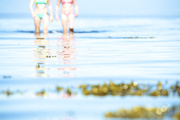 30th Jun 2013 - Beach Radish Inspired