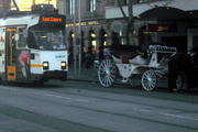 26th Sep 2012 - Tram &Horse buggy Melbourne