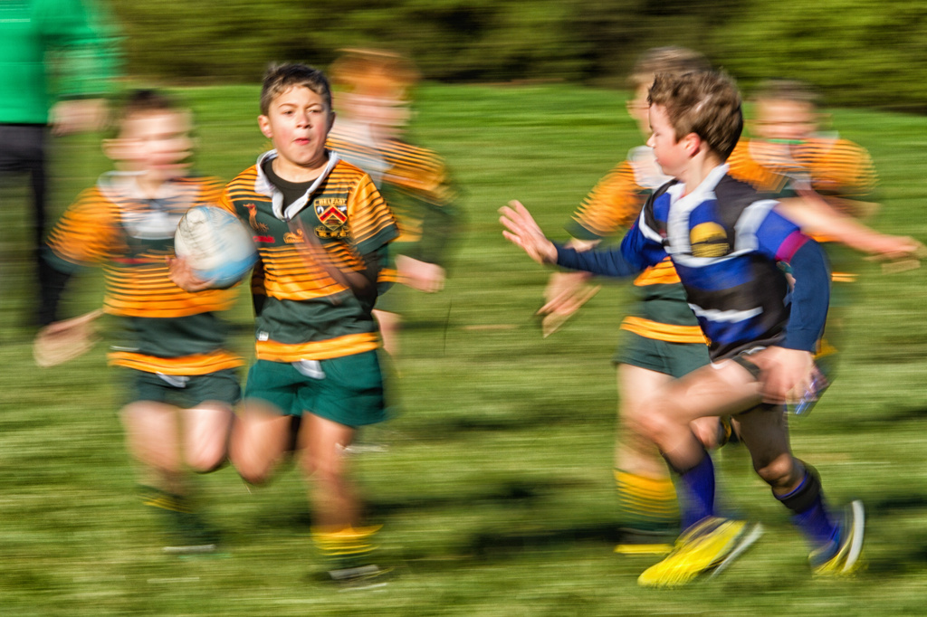 Grass Roots Rugger by helenw2