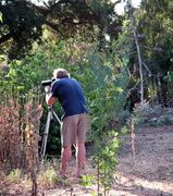 8th Jun 2013 - Shhh, Another Wild Photog Sighting...How Exciting!