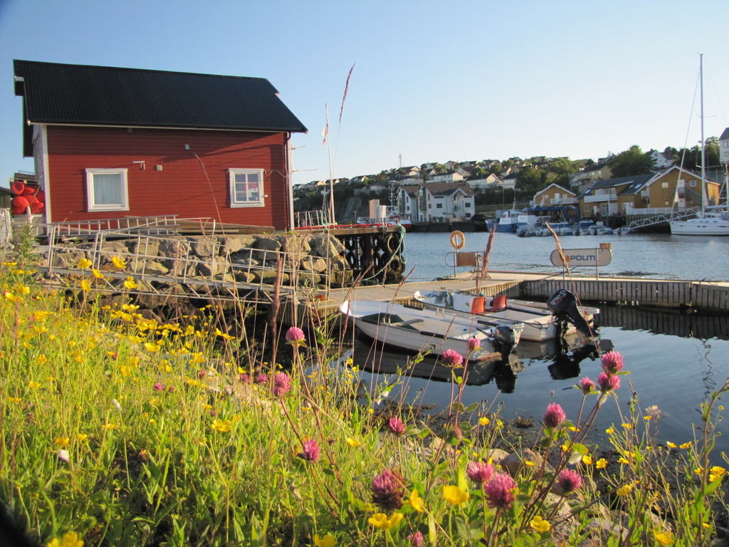 Harbour walk at Rorvik by busylady