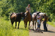 1st Jul 2013 - Girls and Horses