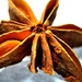 star anise by summerfield