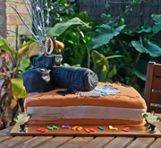 28th Jun 2013 - camera cake
