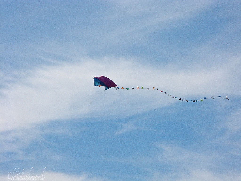 30.6.13 Lets Go Fly A Kite by stoat