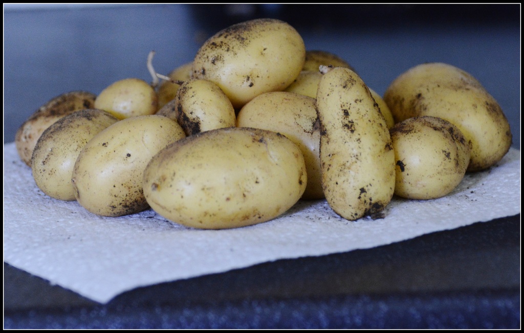 New potatoes by rosiekind