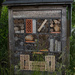 Wild bee hive by rachel70