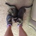 Kitty shoes!!! by graceratliff