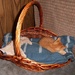 Kitty Basket by julie
