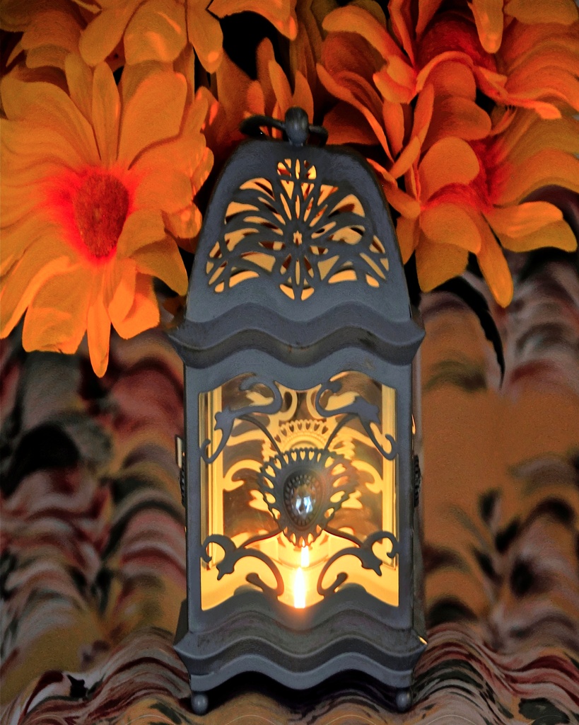 Lantern  by joysfocus