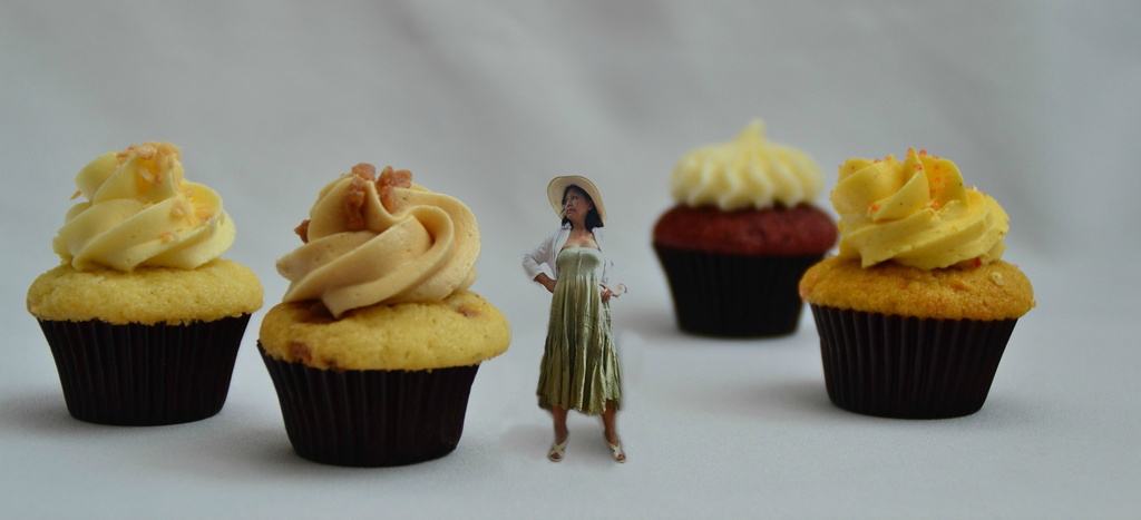 mini-cupcakes and mini-me by summerfield