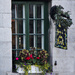 Window Flower Box by pdulis
