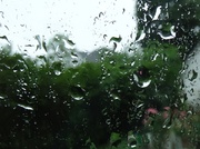 3rd Jul 2013 - Day 29 Raindrops