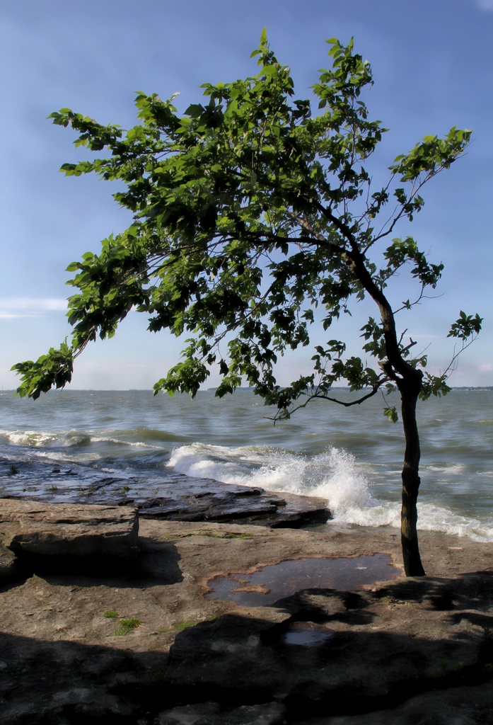 Alone By Lake Erie by digitalrn